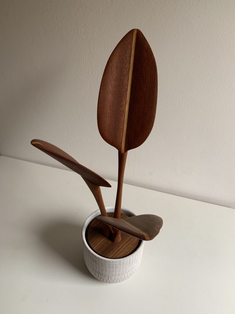 pianta di seterilizia piccola in legno vaso bianco design
