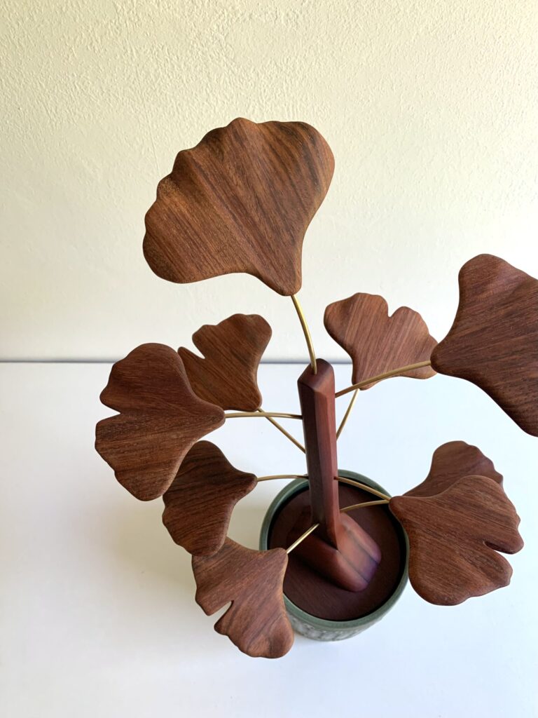 Dettaglio pianta ginko biloba bonsai in legno con ottone design